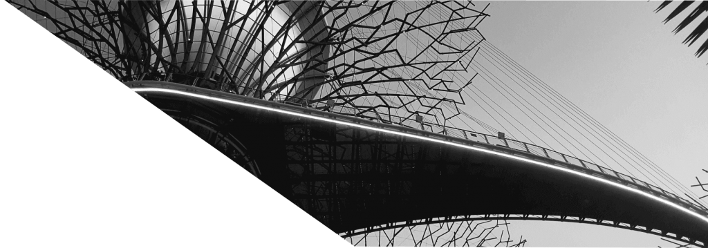 APECSolutions Who We Are PSG Banner